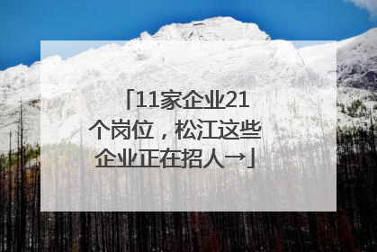 11家企业21个岗位，松江这些企业正在招人→