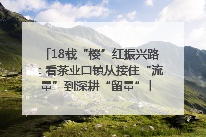 18载“樱”红振兴路：看茶业口镇从接住“流量”到深耕“留量”