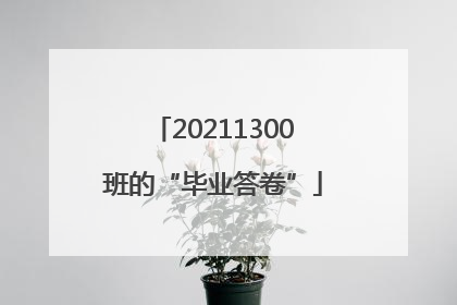 20211300班的“毕业答卷”