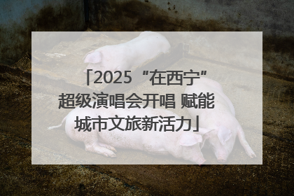 2025“在西宁”超级演唱会开唱 赋能城市文旅新活力