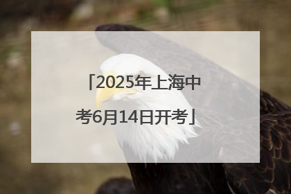 2025年上海中考6月14日开考