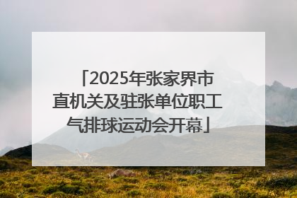 2025年张家界市直机关及驻张单位职工气排球运动会开幕