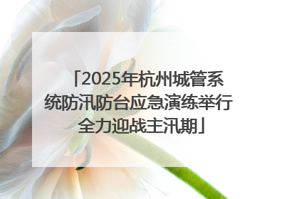 2025年杭州城管系统防汛防台应急演练举行 全力迎战主汛期