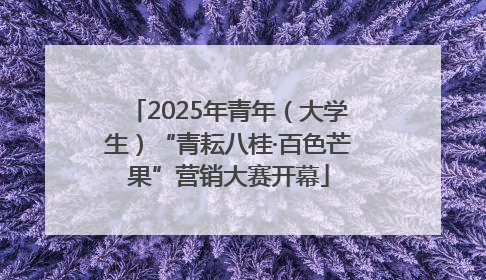 2025年青年（大学生）“青耘八桂·百色芒果”营销大赛开幕