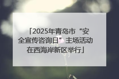 2025年青岛市“安全宣传咨询日”主场活动在西海岸新区举行