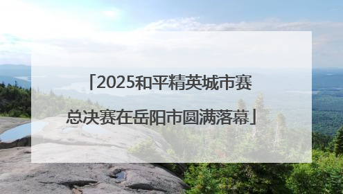 2025和平精英城市赛总决赛在岳阳市圆满落幕