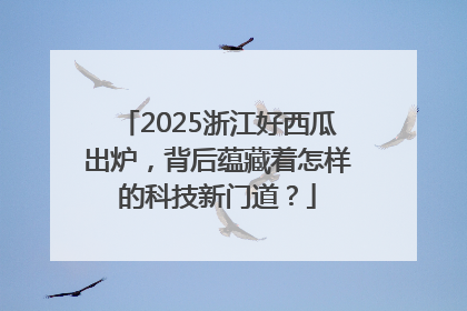 2025浙江好西瓜出炉，背后蕴藏着怎样的科技新门道？