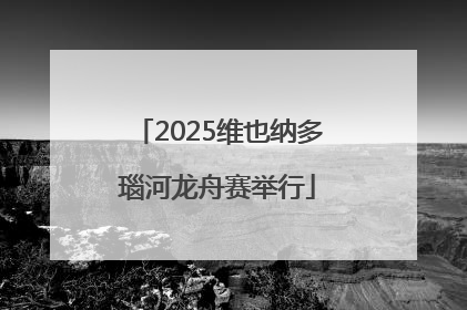 2025维也纳多瑙河龙舟赛举行