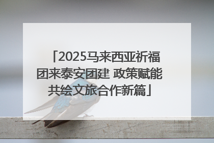2025马来西亚祈福团来泰安团建 政策赋能共绘文旅合作新篇