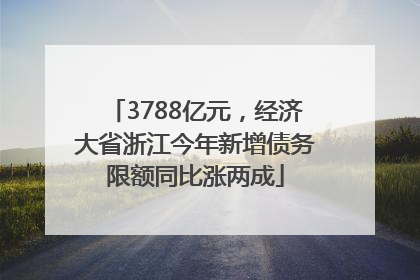 3788亿元，经济大省浙江今年新增债务限额同比涨两成