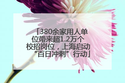 380余家用人单位带来超1.2万个校招岗位，上海启动“百日冲刺”行动