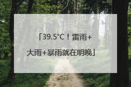 39.5℃！雷雨+大雨+暴雨就在明晚