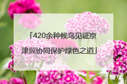 420余种候鸟见证京津冀协同保护绿色之道