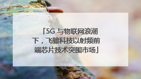5G 与物联网浪潮下，飞骧科技以射频前端芯片技术突围市场