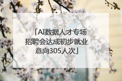 AI数据人才专场招聘会达成初步就业意向305人次