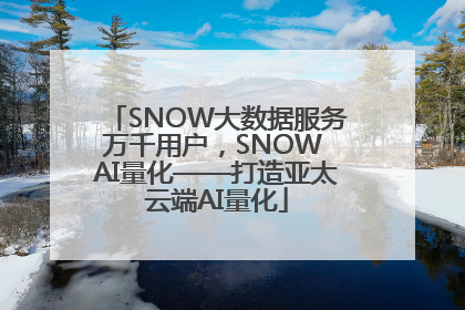 SNOW大数据服务万千用户，SNOW AI量化——打造亚太云端AI量化