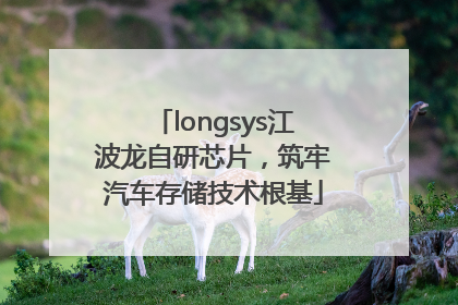 longsys江波龙自研芯片，筑牢汽车存储技术根基